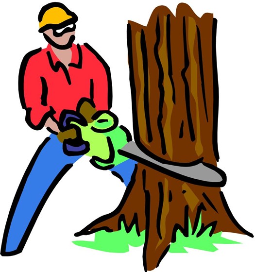 social, ethical, and human issues: standard: BCS-CA1-1