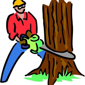 social, ethical, and human issues: standard: BCS-CA1-1